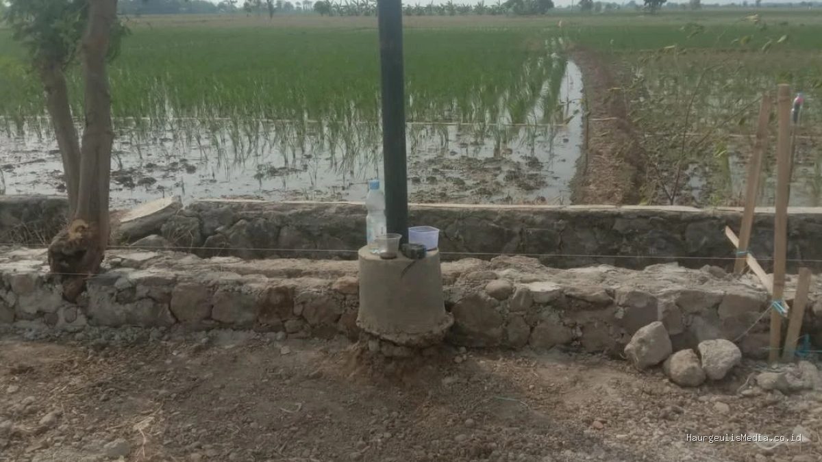 TPT Indramayu: Proyek Sukamelang-Kedokan Gabus, Pohon Dibiarkan Ada!