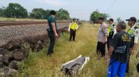 Wanita Cirebon Tewas Tertemper Kereta Api di Indramayu Wanita Cirebon Tewas Tertemper Kereta Api di Indramayu