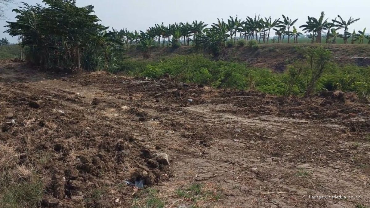 Bom Waktu Indramayu: Penggalian Liar Embung Rancamulya Ancam Lahan