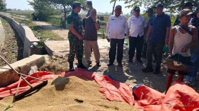 Bulog Indramayu Serap Gabah Rekor Tertinggi 158 Ribu Ton