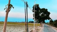 Kawasan Toang Pecuk Kini Terang, PJU Baru Tingkatkan Keamanan Warga