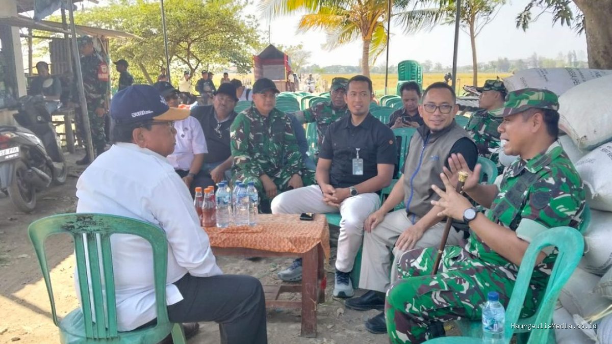 Koramil Krangkeng Kawal Dandim Turun Langsung ke Sawah, Kawal Penyerapan Gabah Petani  Demi Ketahanan Pangan