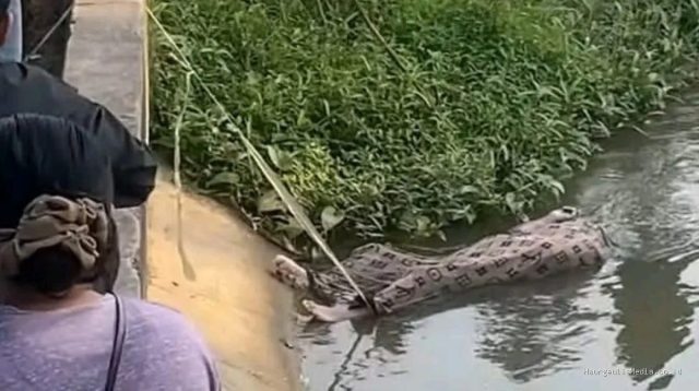 Mayat Pria di Sungai Cipelang Widasari Indramayu Teridentifikasi
