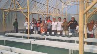 Pertamina EP Smart Green House: Dongkrak Ekonomi Petani Melon Indramayu Pertamina EP Smart Green House: Dongkrak Ekonomi Petani Melon Indramayu