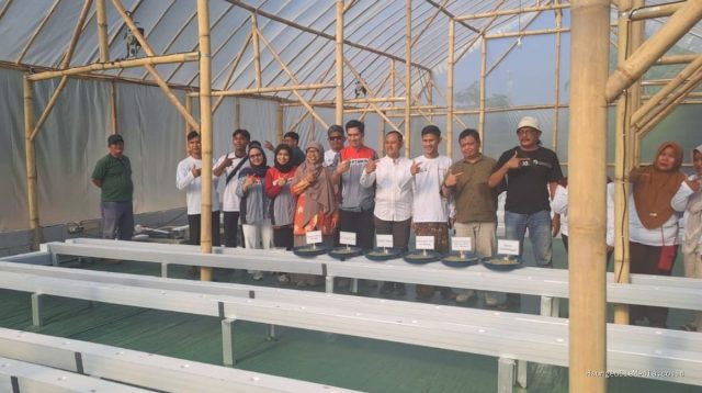 Pertamina EP Smart Green House: Dongkrak Ekonomi Petani Melon Indramayu