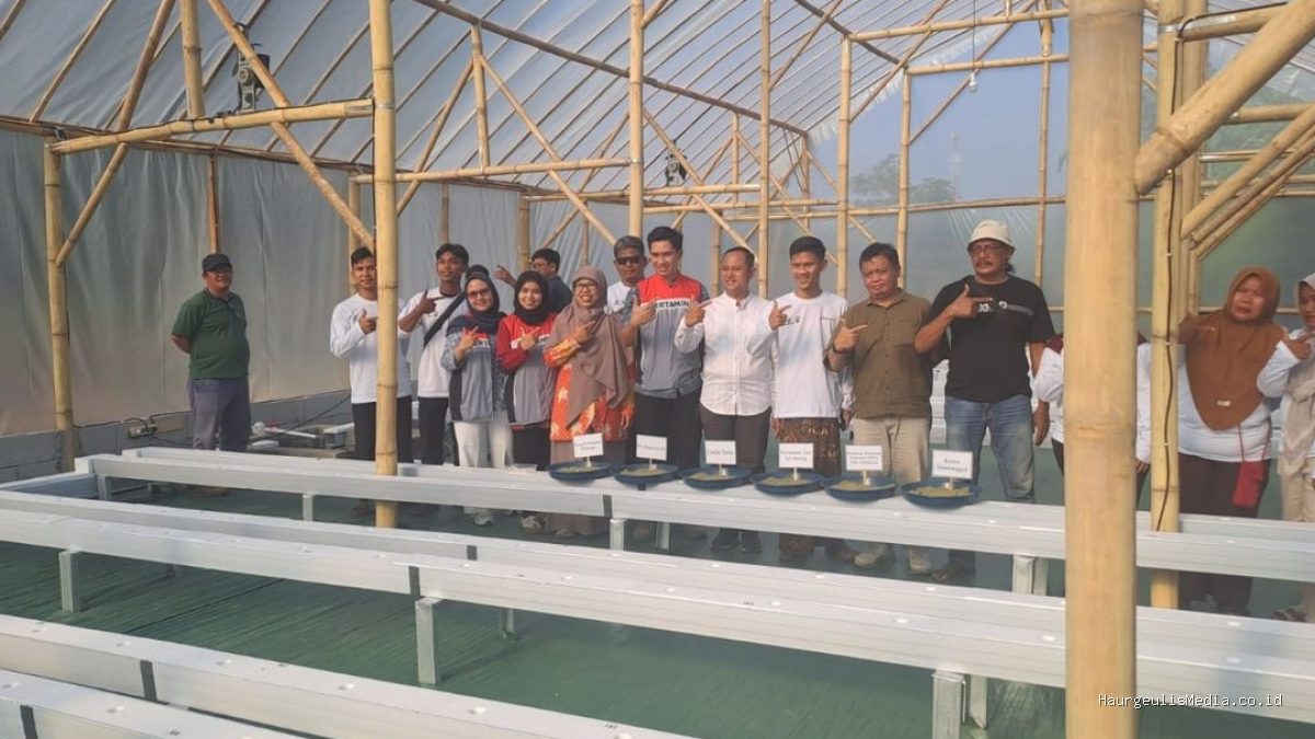 Pertamina EP Smart Green House: Dongkrak Ekonomi Petani Melon Indramayu