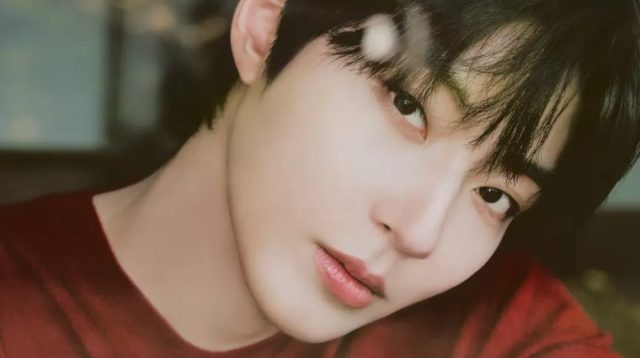 Profil dan Biodata Lengkap Hwang In Youp, Pemeran Woo Su Bin di Drakor Dream to You