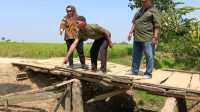Wardah Jemput Aspirasi Warga, Jembatan Darurat Jadi Sorotan Utama Wardah Jemput Aspirasi Warga, Jembatan Darurat Jadi Sorotan Utama