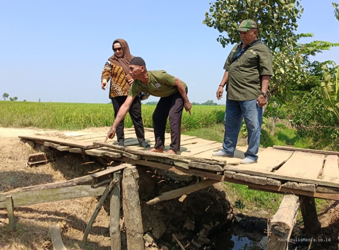 Wardah Jemput Aspirasi Warga, Jembatan Darurat Jadi Sorotan Utama