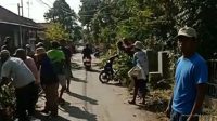 Warga Blok Manggungan Kompak Kerja Bakti Bersihkan Lingkungan