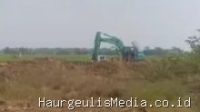 Dugaan Galian Tanah Merah Jatimulya Indramayu Diangkut Paksa untuk PT di Losarang