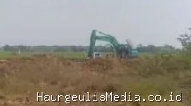 Dugaan Galian Tanah Merah Jatimulya Indramayu Diangkut Paksa untuk PT di Losarang