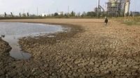 Embung Balongan Kritis, 550 Hektare Sawah di Indramayu Terancam Gagal Panen
