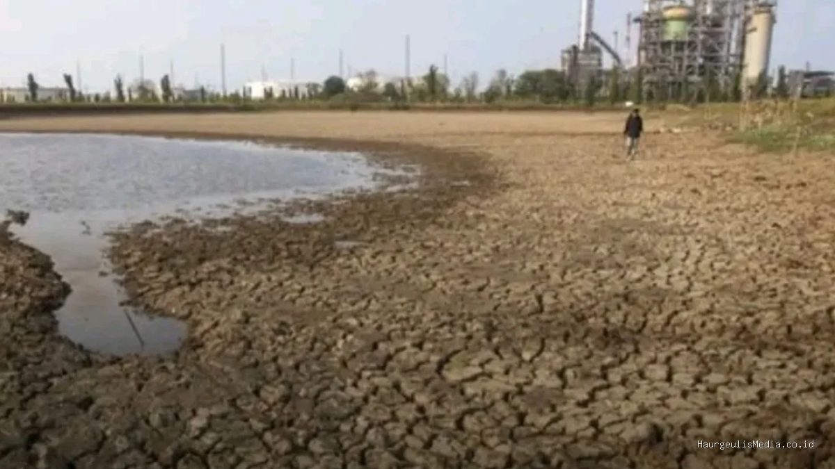 Embung Balongan Kritis, 550 Hektare Sawah di Indramayu Terancam Gagal Panen