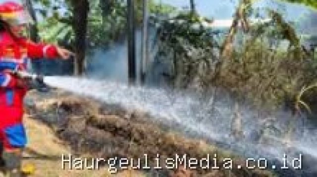 Kebakaran Ilalang di Jalan Raya Ibu Tien Indramayu, Diduga Akibat Bakar Sampah 9 Agustus 2026