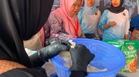 Lapas Indramayu Berdayakan Warga Binaan Lewat Budidaya Jamur Crispy Lapas Indramayu Berdayakan Warga Binaan Lewat Budidaya Jamur Crispy