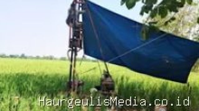 Misteri Irpom PM AAS Plosokerep Indramayu: 12 Titik Ditemukan, Ketua Kelompok Tani Bungkam?