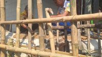 Tanah Amblas 2 Meter di Sukagumiwang, Puluhan Rumah Terancam Longsor Tanah Amblas 2 Meter di Sukagumiwang, Puluhan Rumah Terancam Longsor