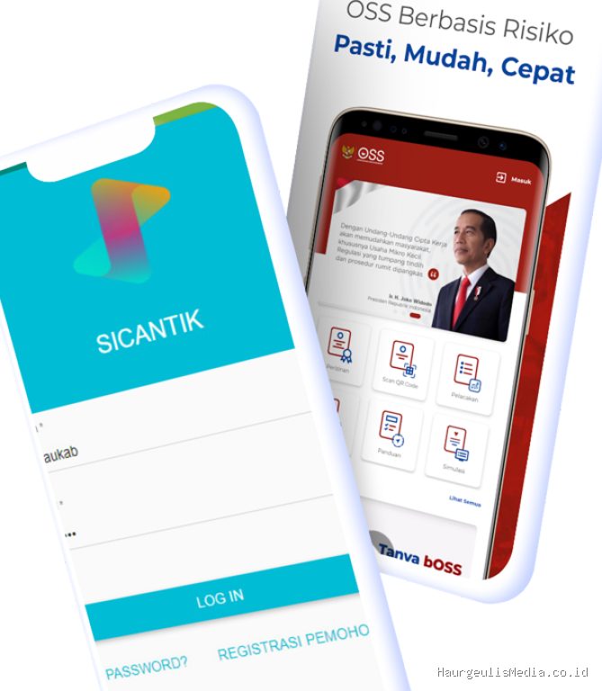 Cara Membuat NIB Usaha Dagang Perorangan Lewat HP di Website OSS RBA