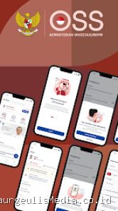 Cara Membuat NIB Usaha Dagang Perorangan Lewat HP di Website OSS RBA