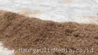 Indramayu Harga Gabah Indramayu Tembus Rp9.200 per Kg, Pengusaha Penggilingan Padi Mulai Kelimpungan Indramayu Harga Gabah Indramayu Tembus Rp9.200 per Kg, Pengusaha Penggilingan Padi Mulai Kelimpungan