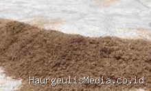 Indramayu Harga Gabah Indramayu Tembus Rp9.200 per Kg, Pengusaha Penggilingan Padi Mulai Kelimpungan