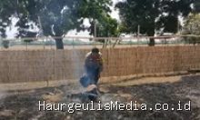 Kebakaran Lahan di Haurgeulis Indramayu: Warga Cegah Api ke Permukiman