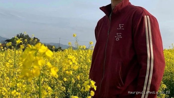 Park Bo Gum kala berperan sebagai Yang Gwan Sik di drakor When Life Gives You Tangerines./Foto: Instagram/@bogummy