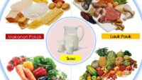 Panduan Diet Seimbang yang Efektif Tanpa Menyiksa Diri
