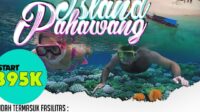 Panduan Liburan Hemat ke Pulau: Tips Perjalanan Murah dan Efektif