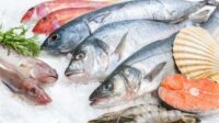 Panduan Memilih Ikan Segar Berkualitas untuk Masakan Lezat