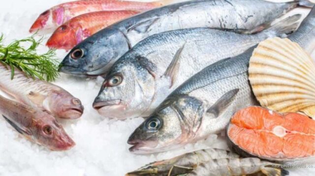 Panduan Memilih Ikan Segar Berkualitas untuk Masakan Lezat