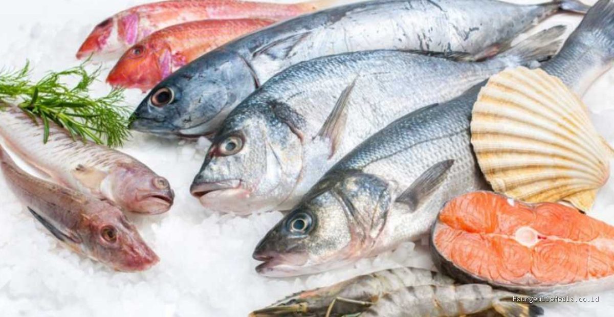 Panduan Memilih Ikan Segar Berkualitas untuk Masakan Lezat