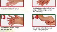 Panduan Menjaga Kebersihan Tangan untuk Mencegah Kuman Panduan Menjaga Kebersihan Tangan untuk Mencegah Kuman