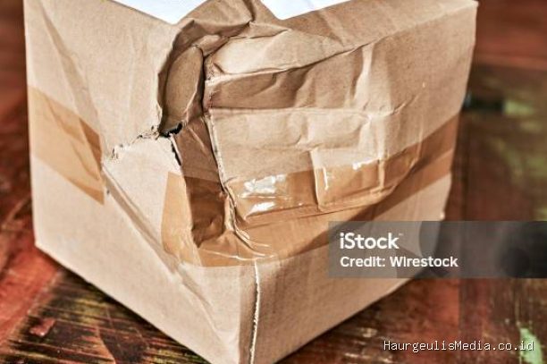 Panduan Packing Aman untuk Mengurangi Risiko Barang Rusak