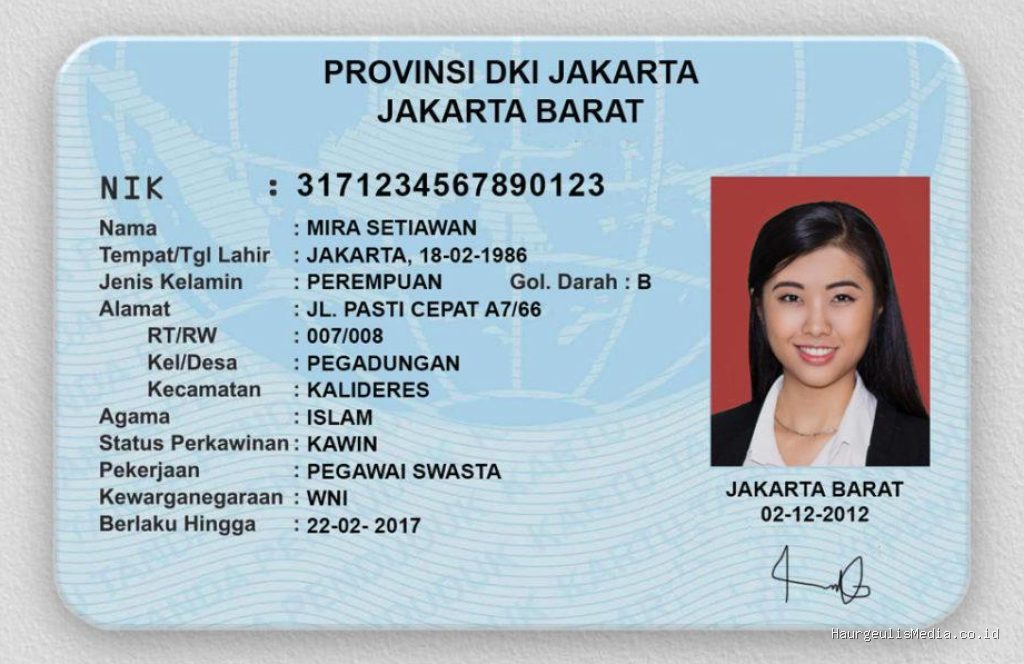 Penyebab Data NIK KTP Tidak Ditemukan Saat Daftar Akun Baru di Sistem OSS RBA