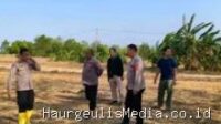 Polres Indramayu Kawal Ketahanan Pangan Nasional Lewat Lahan Jagung Gantar