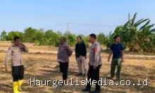 Polres Indramayu Kawal Ketahanan Pangan Nasional Lewat Lahan Jagung Gantar