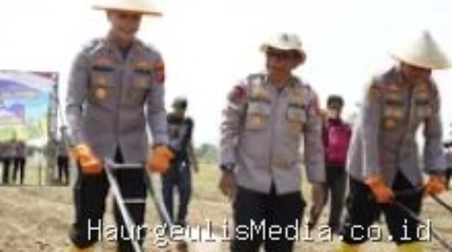 Strategi Polres Indramayu Dorong Swasembada Jagung Kuartal III 2026