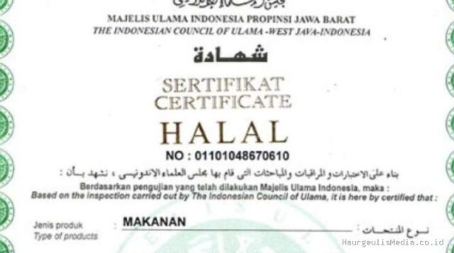 Trik Lolos Verifikasi Pengajuan Sertifikat Halal Mandiri Self Declare
