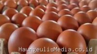 Update Harga Sembako di Haurgeulis: Beras dan Ayam Turun, Gula Naik