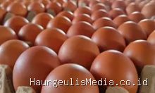 Update Harga Sembako di Haurgeulis: Beras dan Ayam Turun, Gula Naik